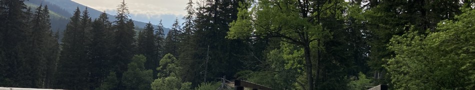Banner profilu