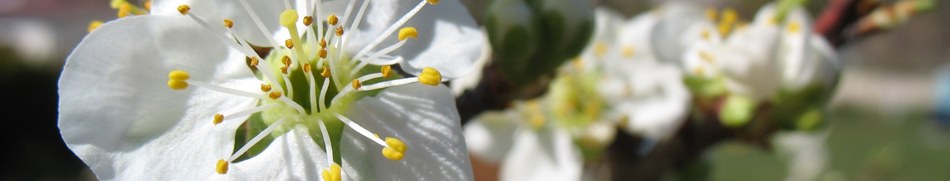 Banner profilu