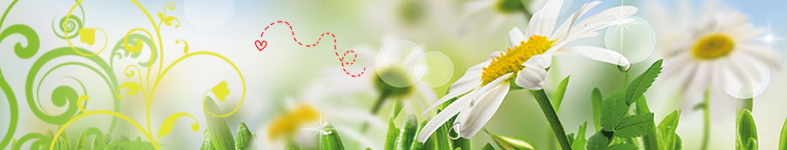Banner profilu