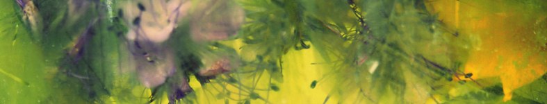 Banner profilu