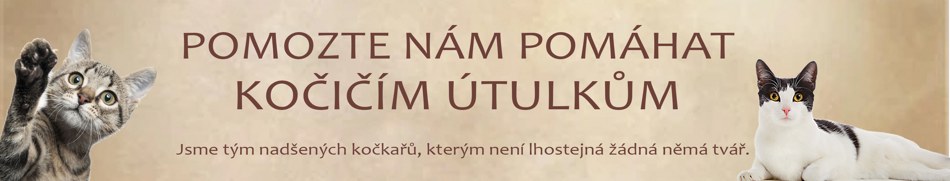 Banner profilu