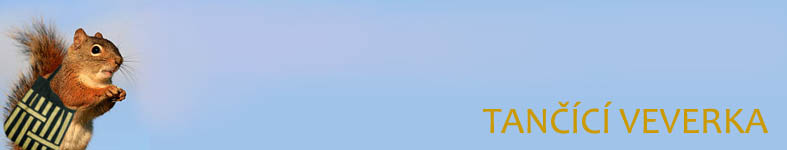 Banner profilu