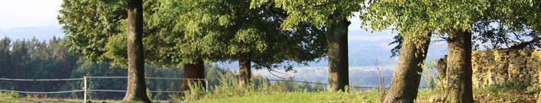 Banner profilu