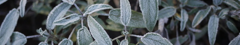 Banner profilu