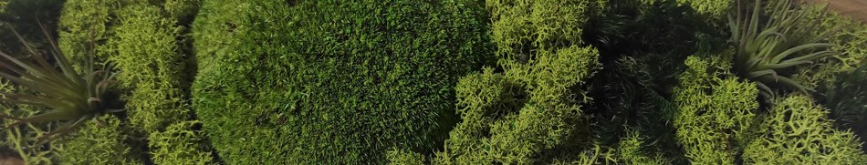 Banner profilu
