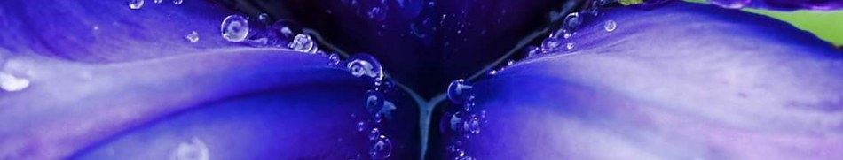 Banner profilu