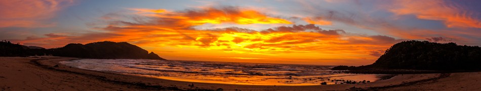 Banner profilu