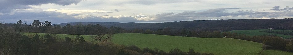 Banner profilu