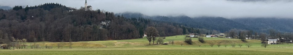 Banner profilu