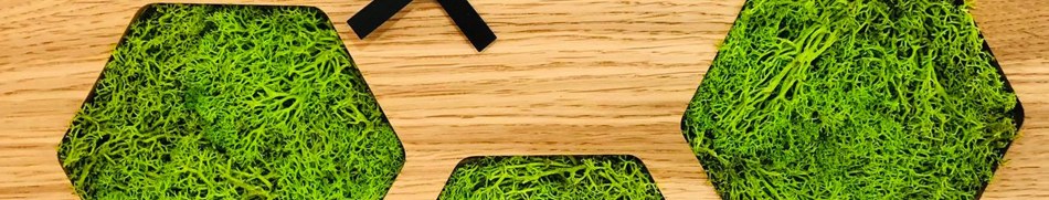 Banner profilu