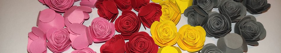 Banner profilu