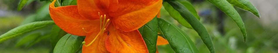 Banner profilu