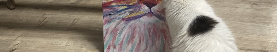 Banner profilu