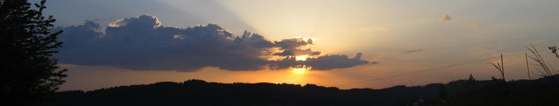 Banner profilu