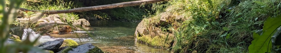 Banner profilu