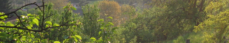 Banner profilu