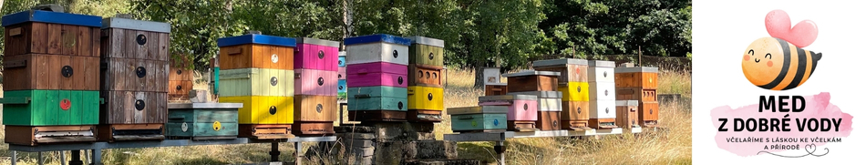 Banner profilu