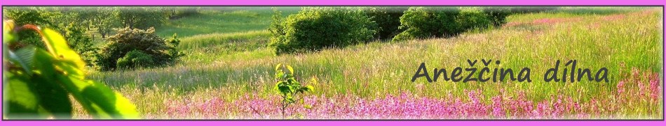 Banner profilu
