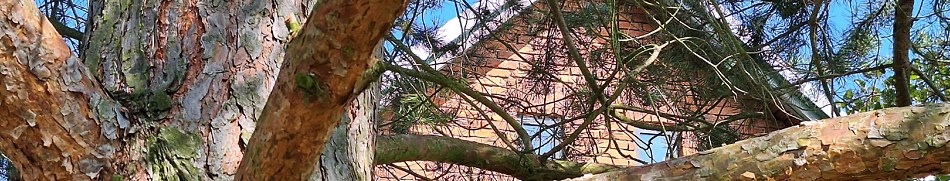 Banner profilu