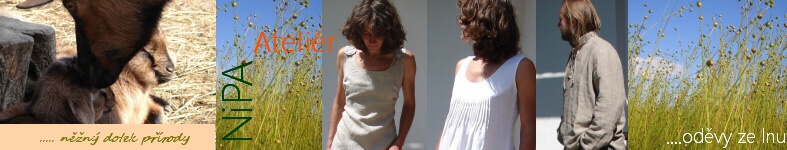 Banner profilu