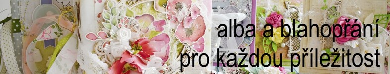 Banner profilu