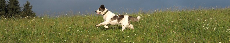 Banner profilu