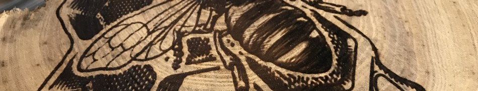 Banner profilu