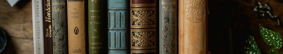 Banner profilu