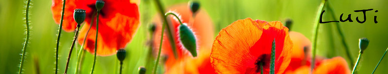 Banner profilu