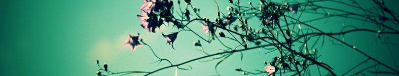 Banner profilu