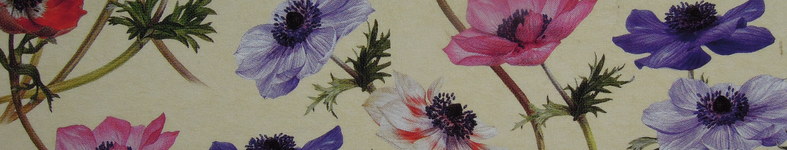 Banner profilu