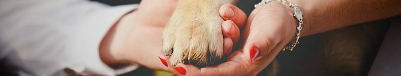 Banner profilu