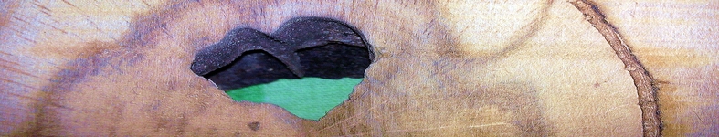 Banner profilu