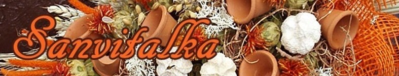 Banner profilu