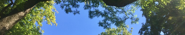 Banner profilu