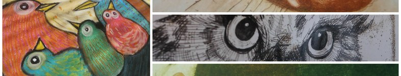 Banner profilu