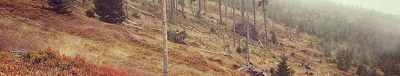 Banner profilu