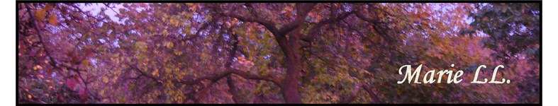 Banner profilu