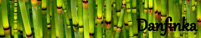 Banner profilu