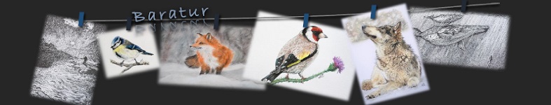 Banner profilu