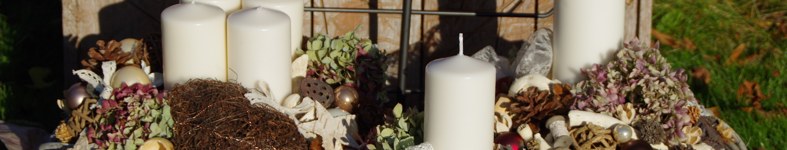 Banner profilu