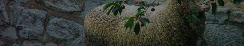 Banner profilu