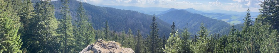 Banner profilu