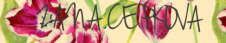 Banner profilu
