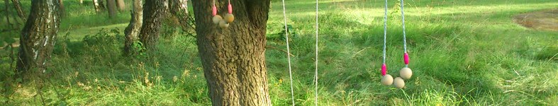 Banner profilu