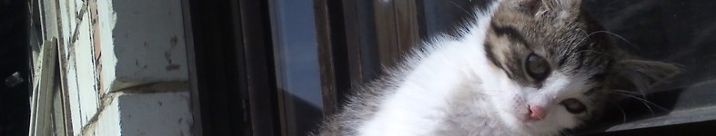 Banner profilu