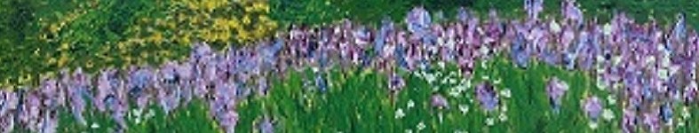 Banner profilu
