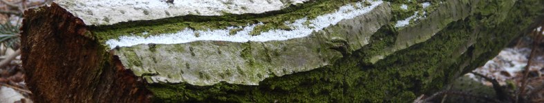Banner profilu