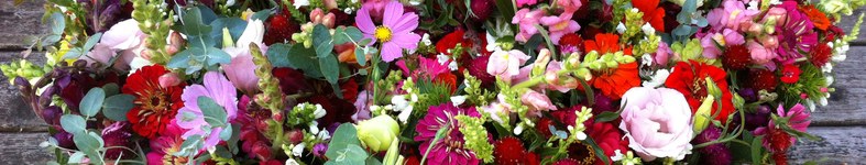 Banner profilu