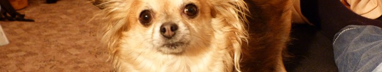 Banner profilu